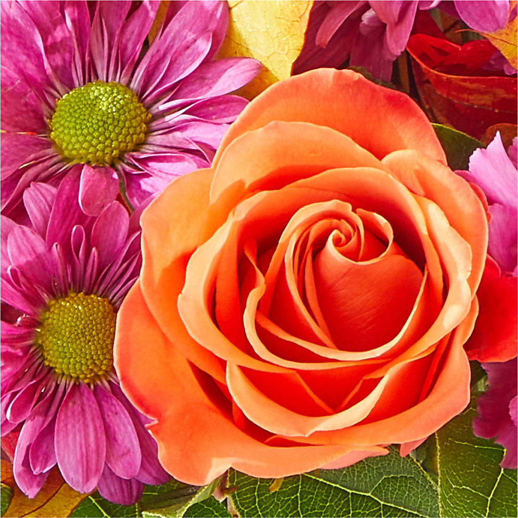 Mum's the Word Bouquet – COUNTRY HEARTH FLOWER & GIFT SHOP, East Berlin PA
