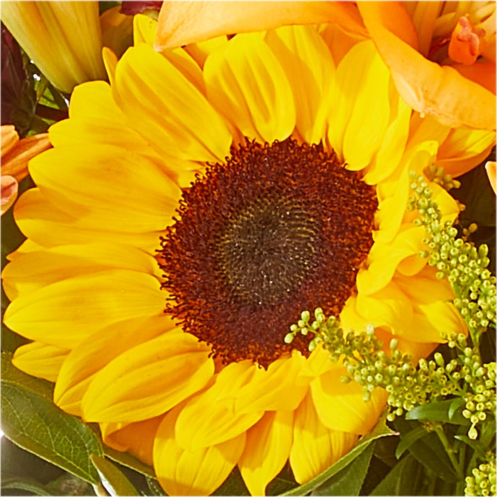 Seasons Change Bouquet – COUNTRY HEARTH FLOWER & GIFT SHOP, East Berlin PA