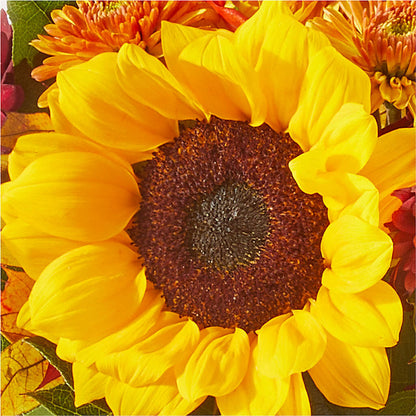 Sunny Side Bouquet – COUNTRY HEARTH FLOWER & GIFT SHOP, East Berlin PA
