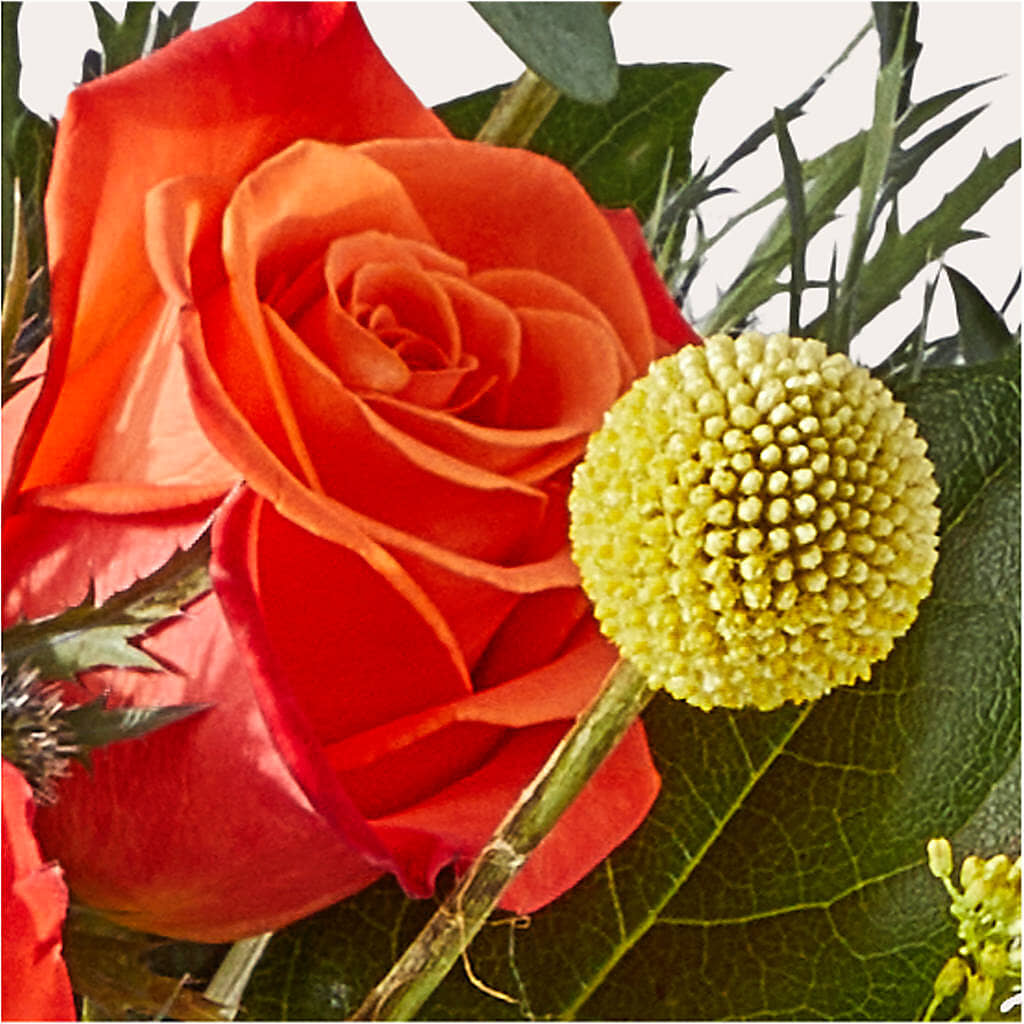 Disco Bouquet – COUNTRY HEARTH FLOWER & GIFT SHOP, East Berlin PA