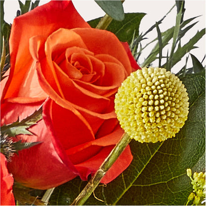 Disco Bouquet – COUNTRY HEARTH FLOWER & GIFT SHOP, East Berlin PA