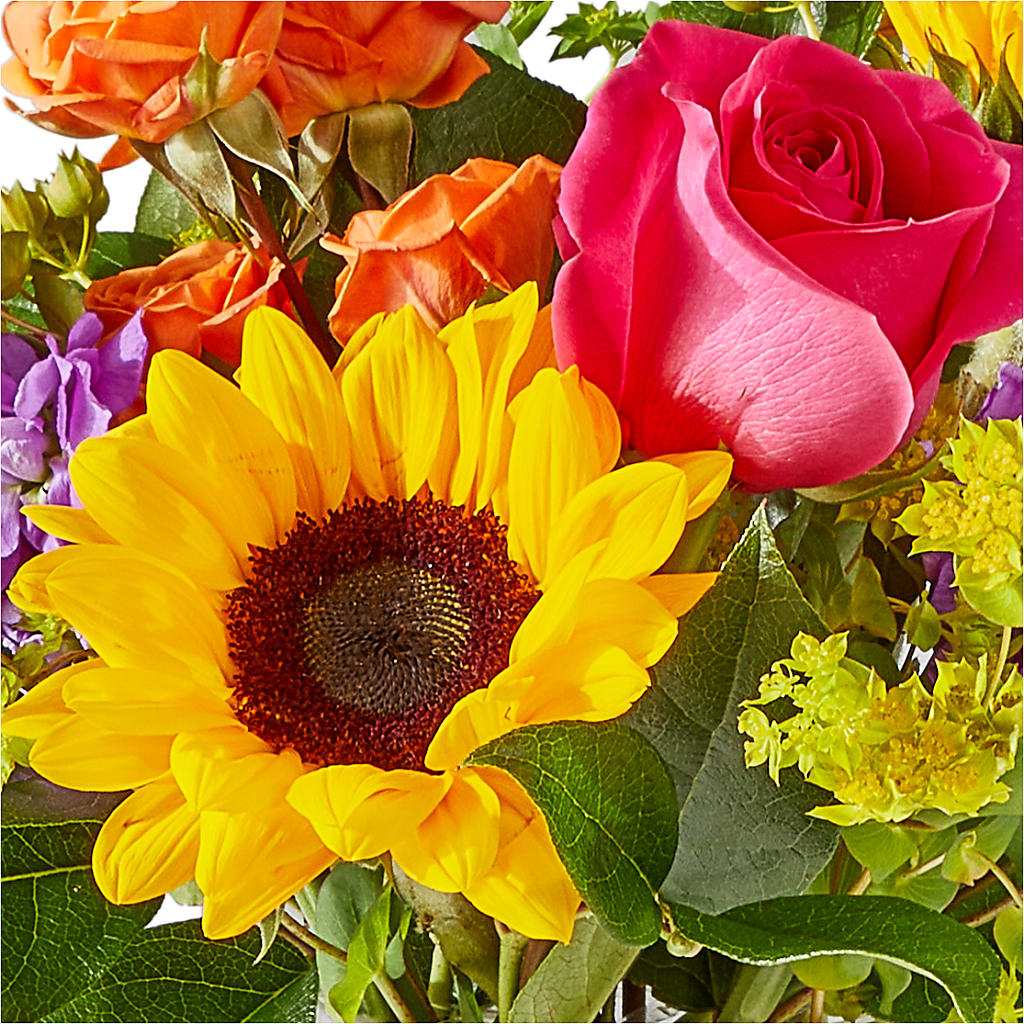 Vibrant Greetings Bouquet – COUNTRY HEARTH FLOWER & GIFT SHOP, East Berlin PA