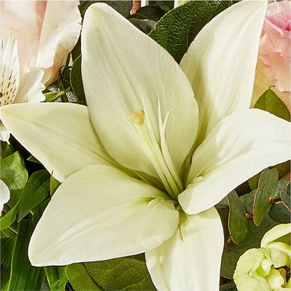 Ballet Slippers Bouquet – COUNTRY HEARTH FLOWER & GIFT SHOP, East Berlin PA