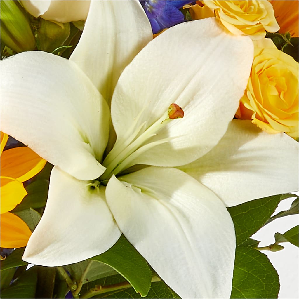 Wonderfully Sunny Bouquet – COUNTRY HEARTH FLOWER & GIFT SHOP, East Berlin PA