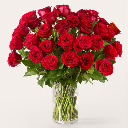 The One Red Rose Bouquet – COUNTRY HEARTH FLOWER & GIFT SHOP, East Berlin PA