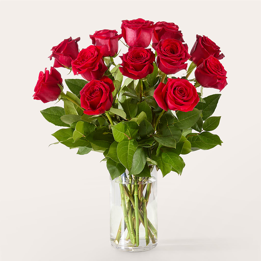 The One Red Rose Bouquet – COUNTRY HEARTH FLOWER & GIFT SHOP, East Berlin PA
