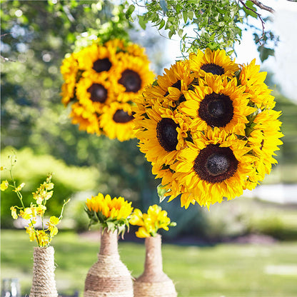 Sublime Garden Hanging Arrangement – COUNTRY HEARTH FLOWER & GIFT SHOP, East Berlin PA