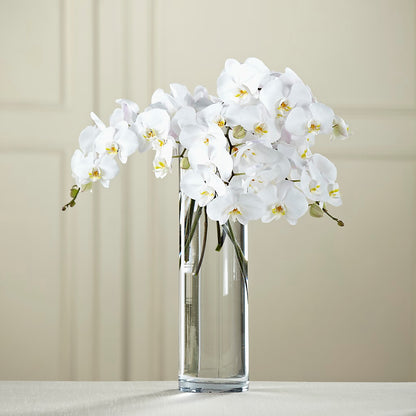 White Phalaenopsis Bouquet – COUNTRY HEARTH FLOWER & GIFT SHOP, East Berlin PA