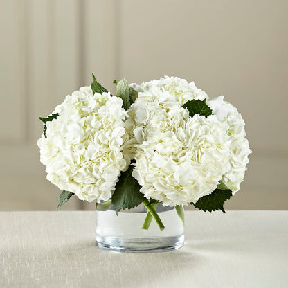 White Hydrangea Bouquet – COUNTRY HEARTH FLOWER & GIFT SHOP, East Berlin PA